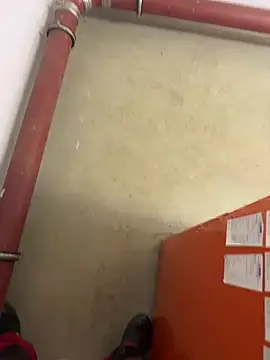 Loveboy 1987 online show from 13, 3, 2026