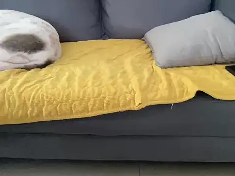 4small4inchlol online show from 13, 10, 2025