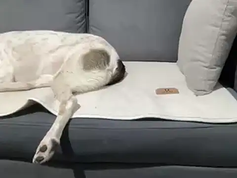 4small4inchlol online show from 20, 3, 2025