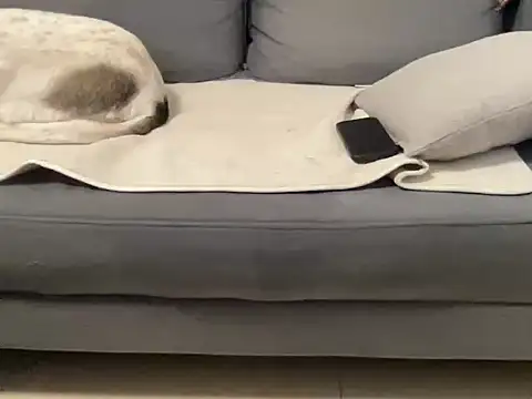 4small4inchlol online show from 21, 9, 2025