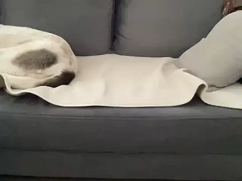 4small4inchlol online show from 24, 9, 2025