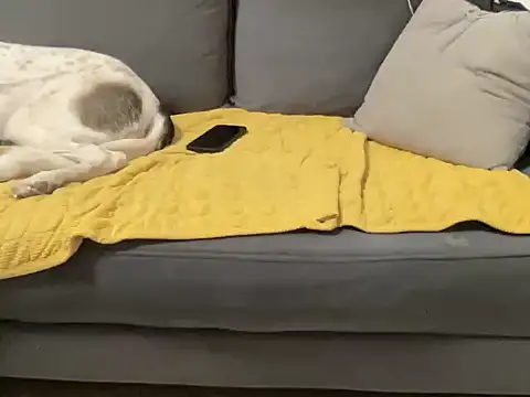 4small4inchlol online show from 29, 10, 2025