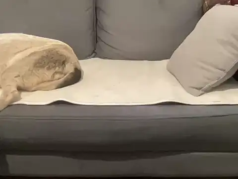 4small4inchlol online show from 17, 9, 2025