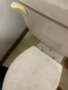 Snapshot of elperrinHN chatting on 13, 11, 2025 elperrinHN online show from 13, 11, 2025