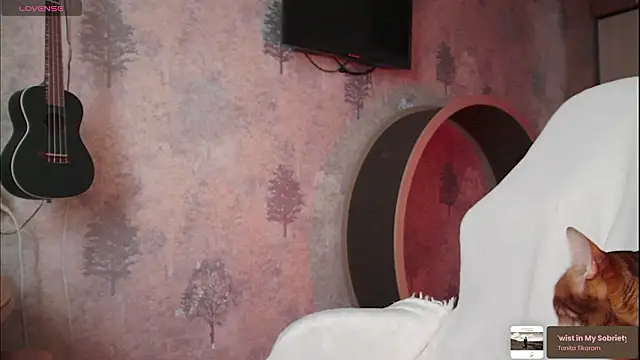 ms allison w online show from 19, 2, 2026