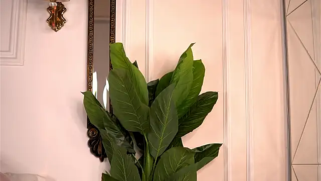 AvaShayy online show from 4, 3, 2026