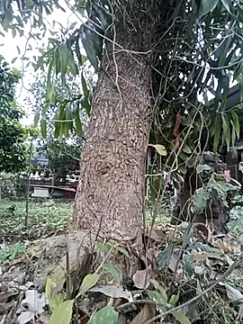 Snapshot of Fuckmehard2xx chatting on 9, 3, 2025 Fuckmehard2xx online show from 9, 3, 2025