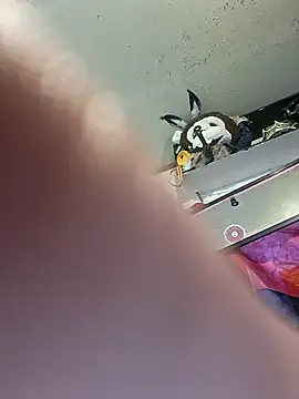 Snapshot of gettinit2wice chatting on 11, 3, 2026 gettinit2wice online show from 11, 3, 2026