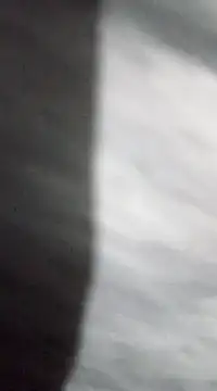 jaxyboys online show from 15, 1, 2025