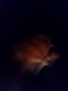 jaxyboys online show from 3, 2, 2025