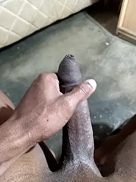 Snapshot of Sur1711 chatting on 8, 1, 2026 Sur1711 online show from 8, 1, 2026