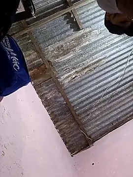 Snapshot of Sur1711 chatting on 5, 1, 2026 Sur1711 online show from 5, 1, 2026