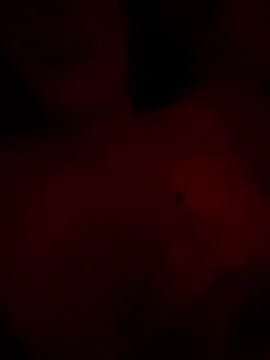 leilani divine28 online show from 4, 12, 2024