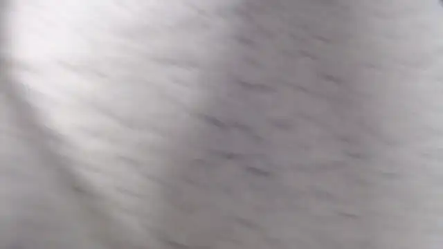 fk me good online show from 2, 12, 2025