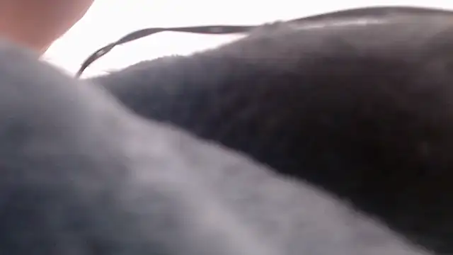 fk me good online show from 16, 12, 2025