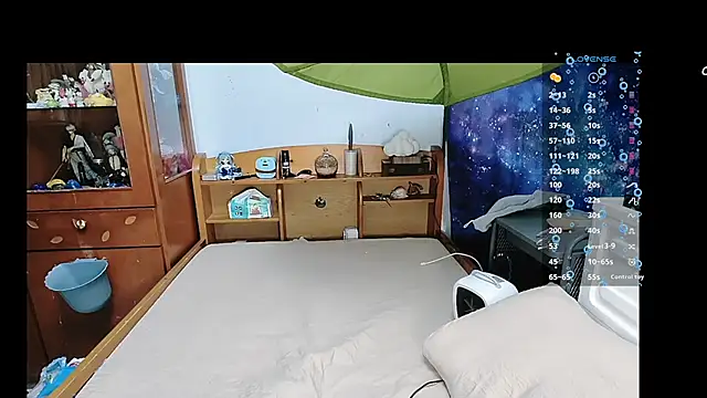 Fine-sand online show from 20, 3, 2025