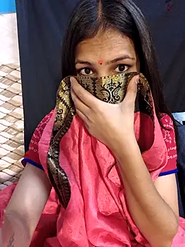 Bulbul 02 online show from 11, 3, 2026