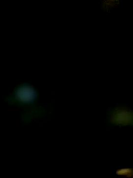 JAWHARA  online show from 14, 12, 2025