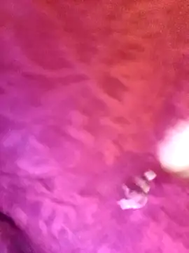 JAWHARA  online show from 12, 11, 2025