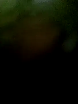 JAWHARA  online show from 6, 11, 2025