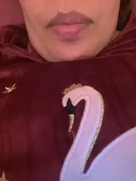 Samarr 9and online show from 20, 12, 2024