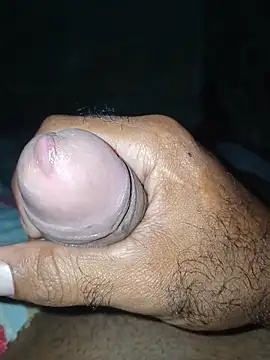 taylorWiiz online show from 26, 11, 2025