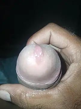 taylorWiiz online show from 19, 11, 2025