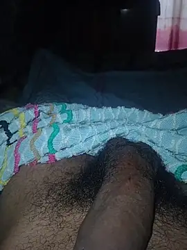 taylorWiiz online show from 13, 5, 2026