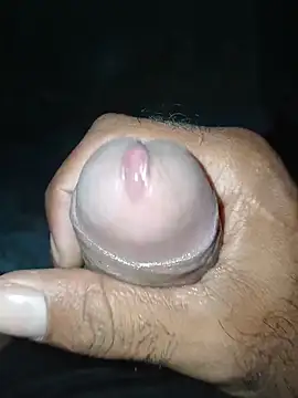 taylorWiiz online show from 8, 1, 2026