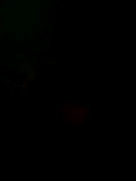 taylorWiiz online show from 16, 10, 2025