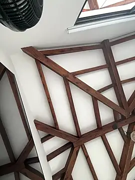 Arilw online show from 10, 1, 2026