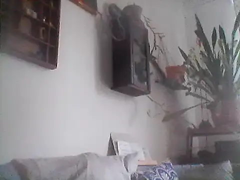 Snapshot of Bigpenis6y chatting on 29, 12, 2024 Bigpenis6y online show from 29, 12, 2024