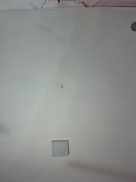 Snapshot of kiim_taaylor chatting on 25, 2, 2026 kiim taaylor online show from 25, 2, 2026