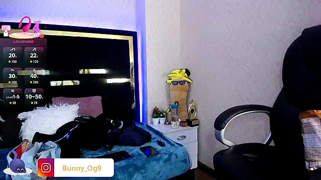 Bunny O online show from 12, 9, 2025