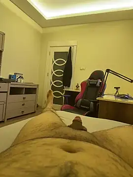 31cektirenbatuu online show from 27, 2, 2026