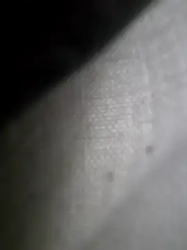 hungarian dick online show from 2, 2, 2025