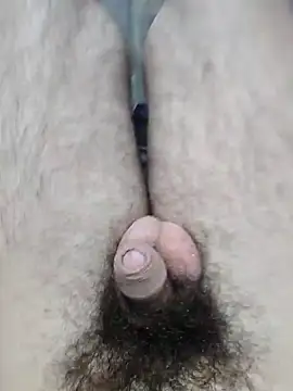 hungarian dick online show from 2, 1, 2025