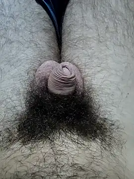 hungarian dick online show from 19, 10, 2025