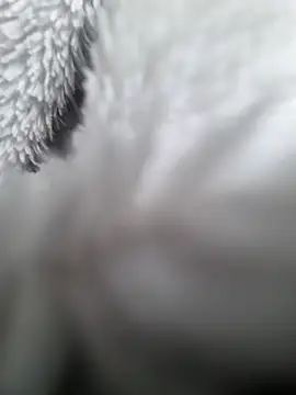 hungarian dick online show from 31, 1, 2025