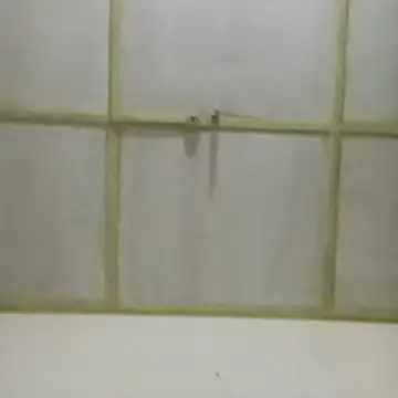 Aabhinashh online show from 25, 4, 2026