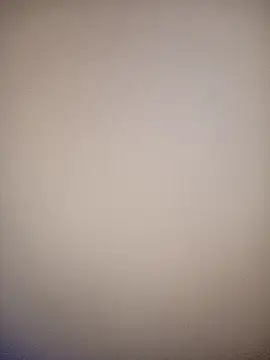 bustybillies online show from 12, 2, 2026