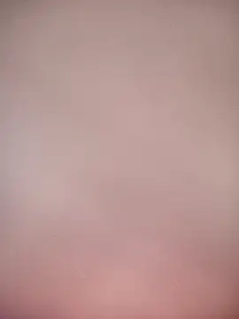 bustybillies online show from 6, 1, 2026