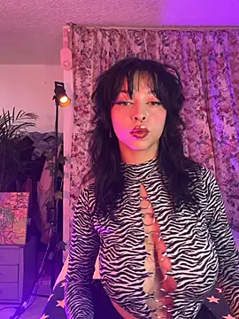 Kitty arts online show from 14, 6, 2026