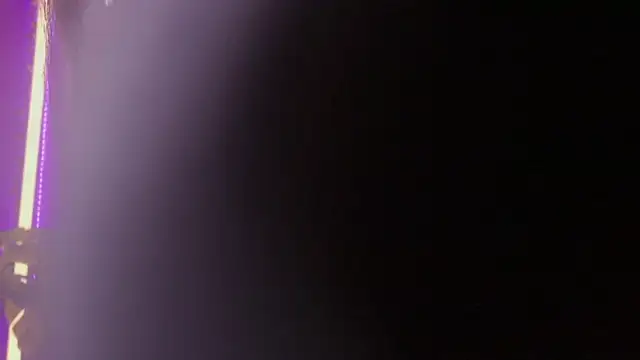 Kitty arts online show from 3, 1, 2025