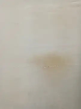 Rina777o online show from 7, 3, 2025