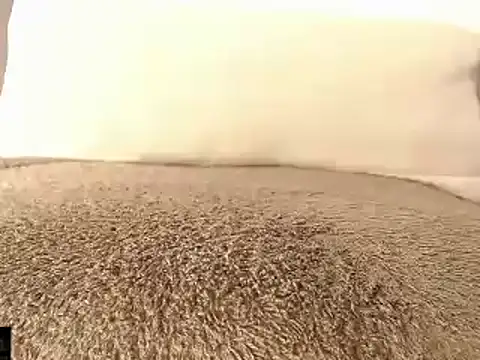 mikellwilliams10 online show from 15, 3, 2025