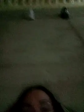 Ariatrans online show from 25, 9, 2025