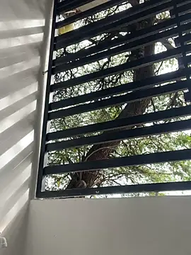 perlita05 online show from 3, 12, 2025