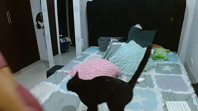 Snapshot of amazonafit_ chatting on 27, 2, 2025 amazonafit online show from 27, 2, 2025