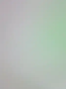 -Zelda- online show from 24, 10, 2025